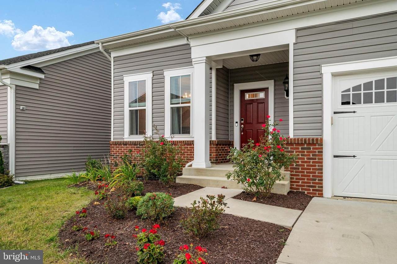 1645 Velvet Leaf Lane - Photo 1