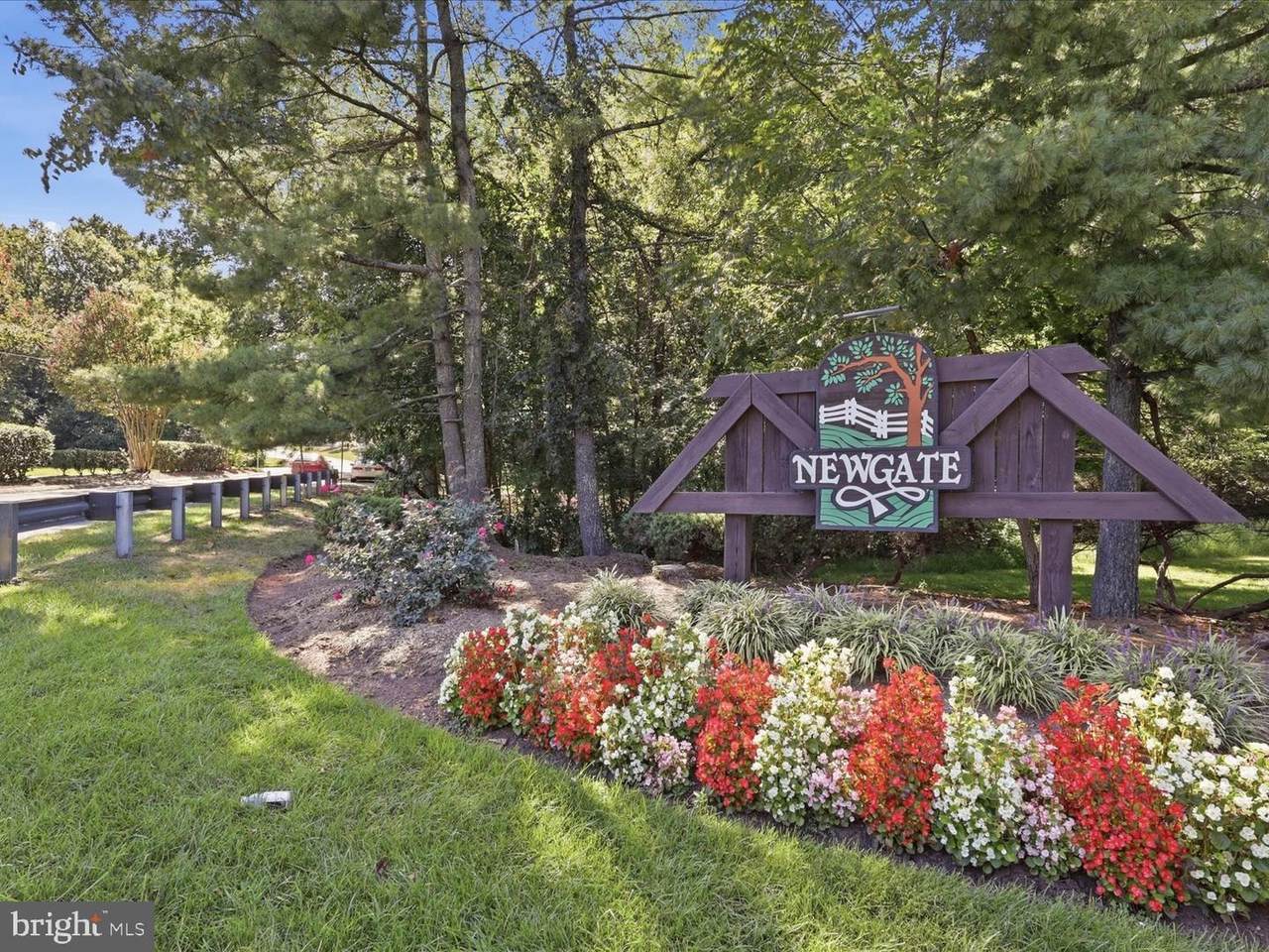 14314 Watery Mountain Court - Photo 1