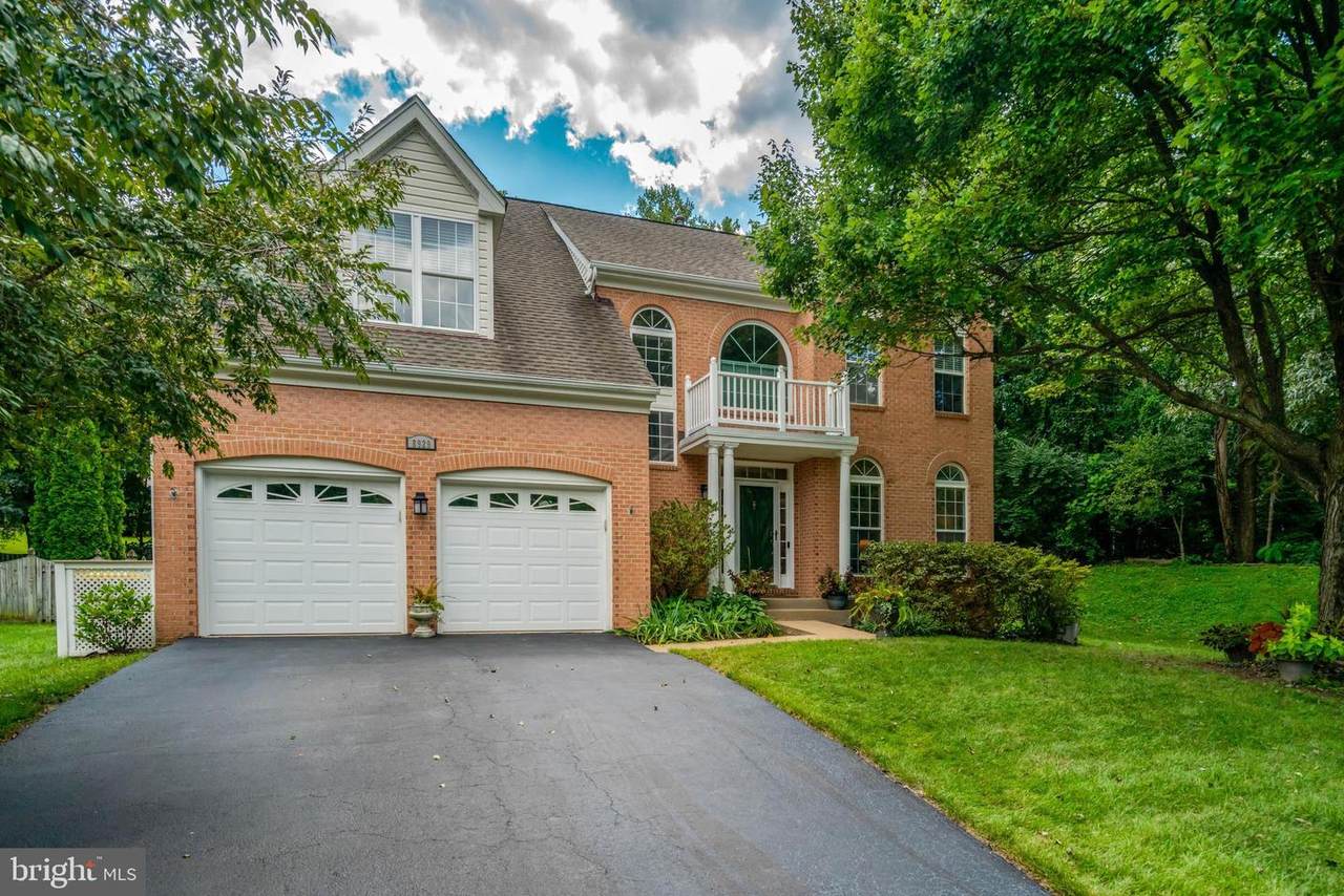 8929 Mountain Ash Drive - Photo 1