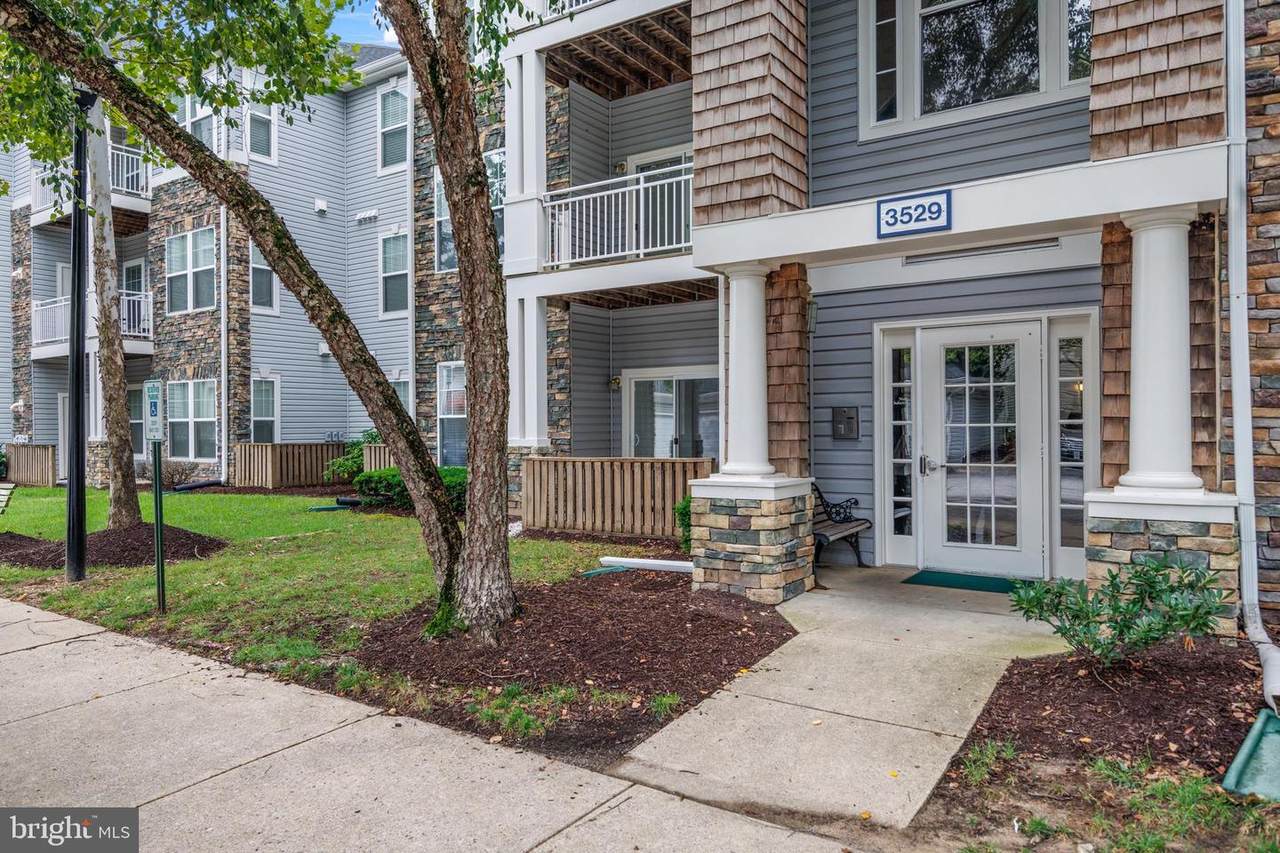 3529 Piney Woods Place - Photo 1