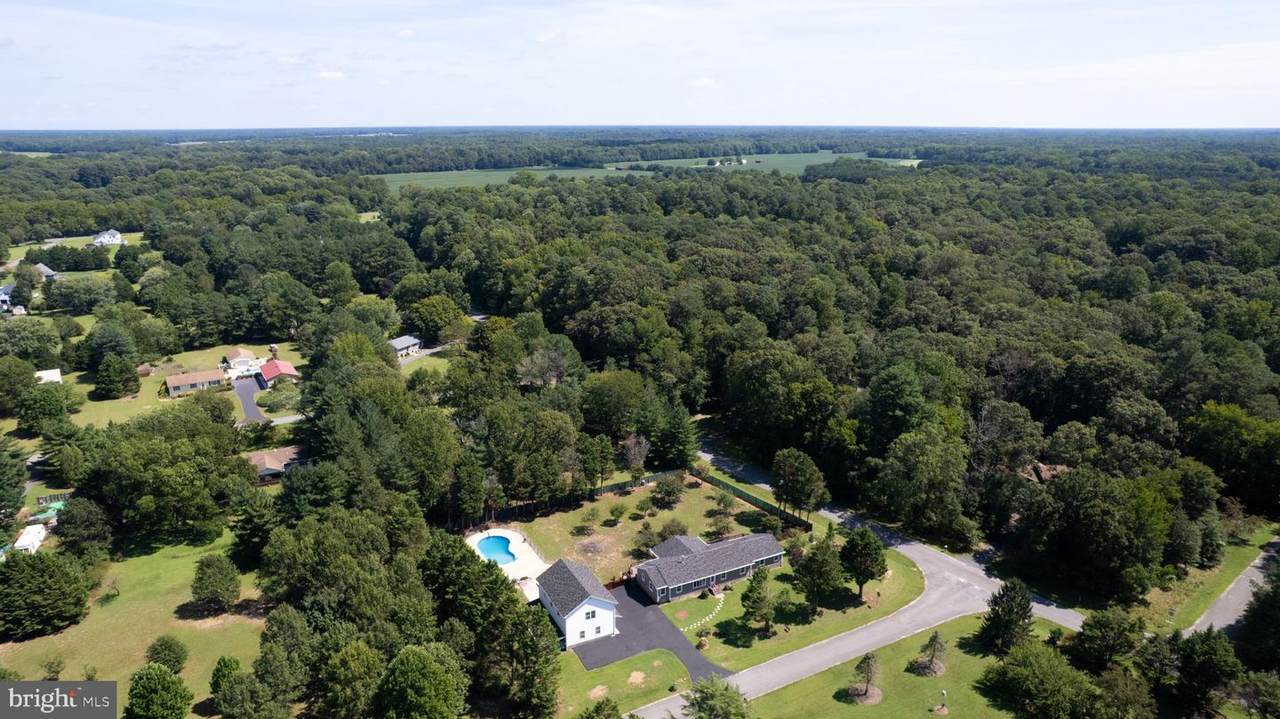 7737 Westerly Drive - Photo 1