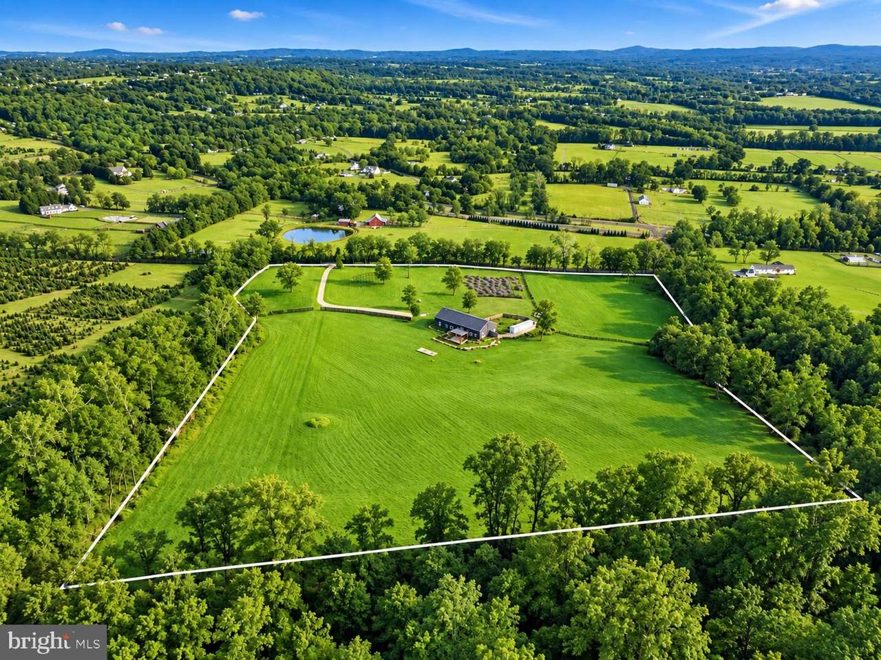 34266 Williams Gap Road - Photo 1