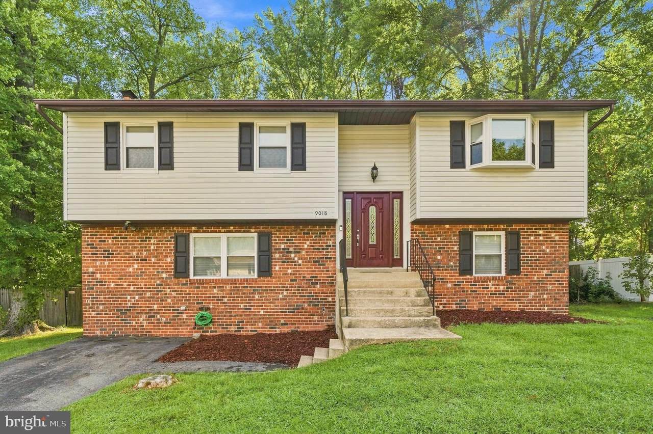 9018 Holly Avenue - Photo 1