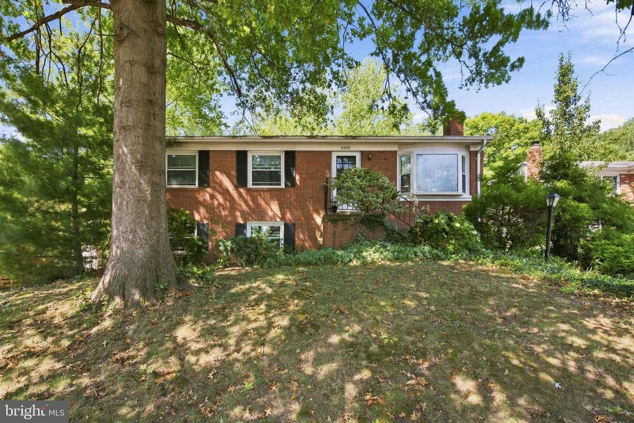 5256 Medwick Court - Photo 1