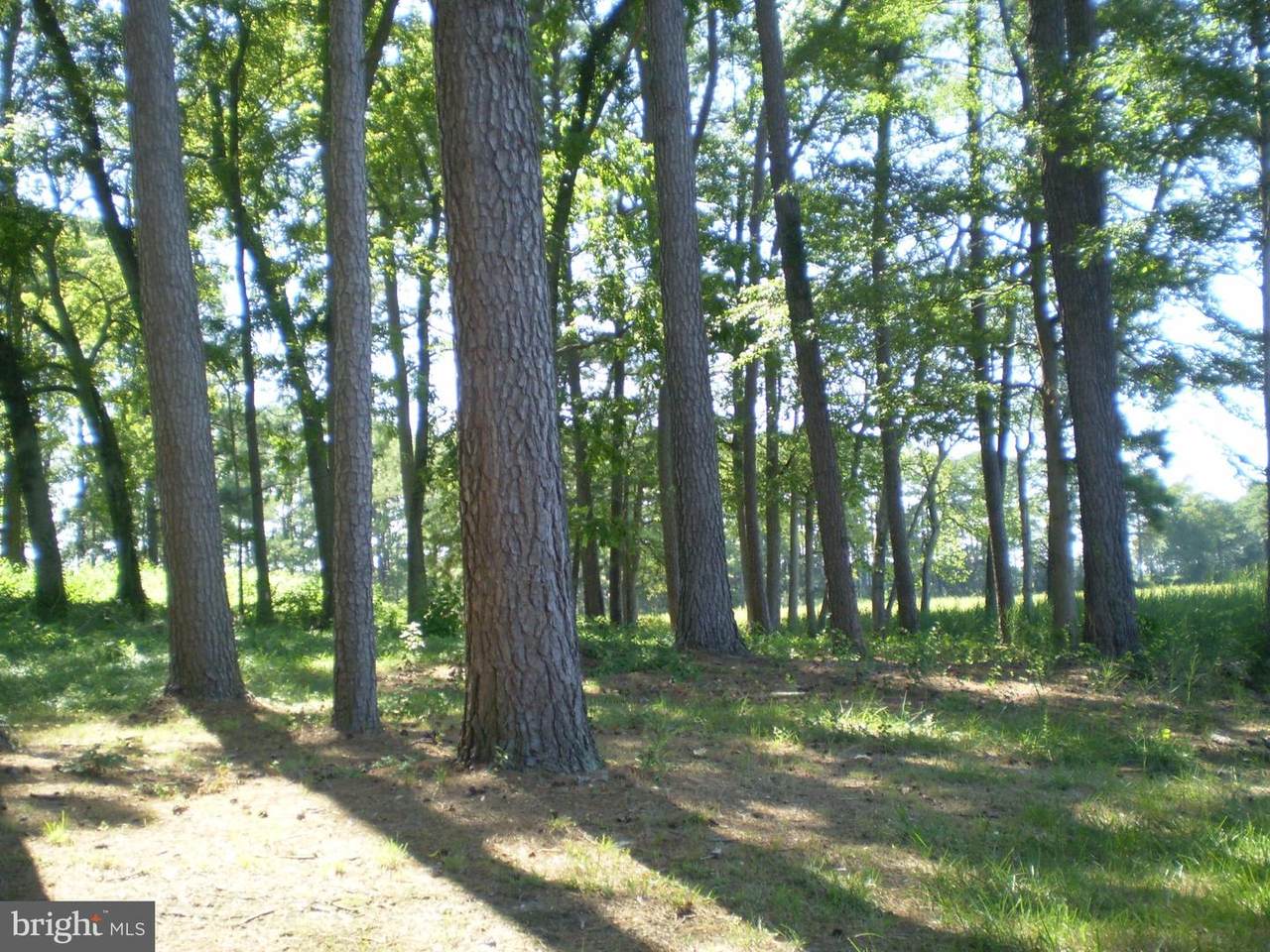 https://bt-photos.global.ssl.fastly.net/brightmls/1280_boomver_1_805331258412-2.jpg