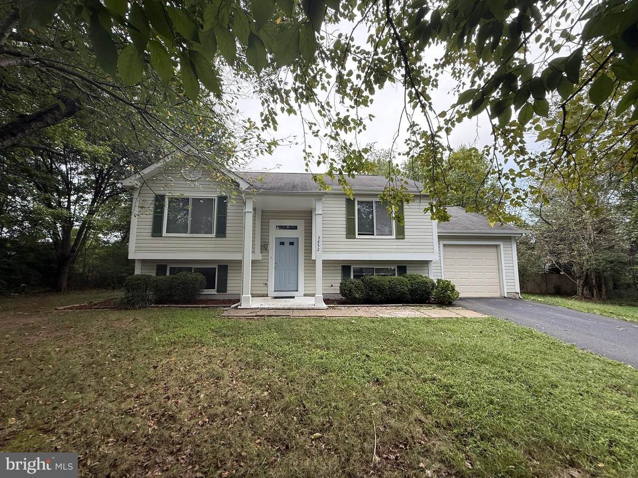 3852 Beech Down Drive - Photo 1