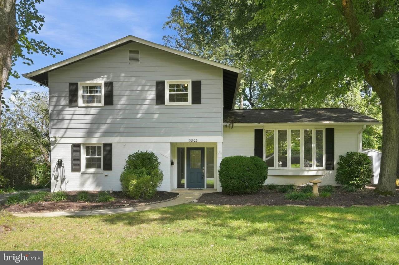 3803 Tall Oak Court - Photo 1