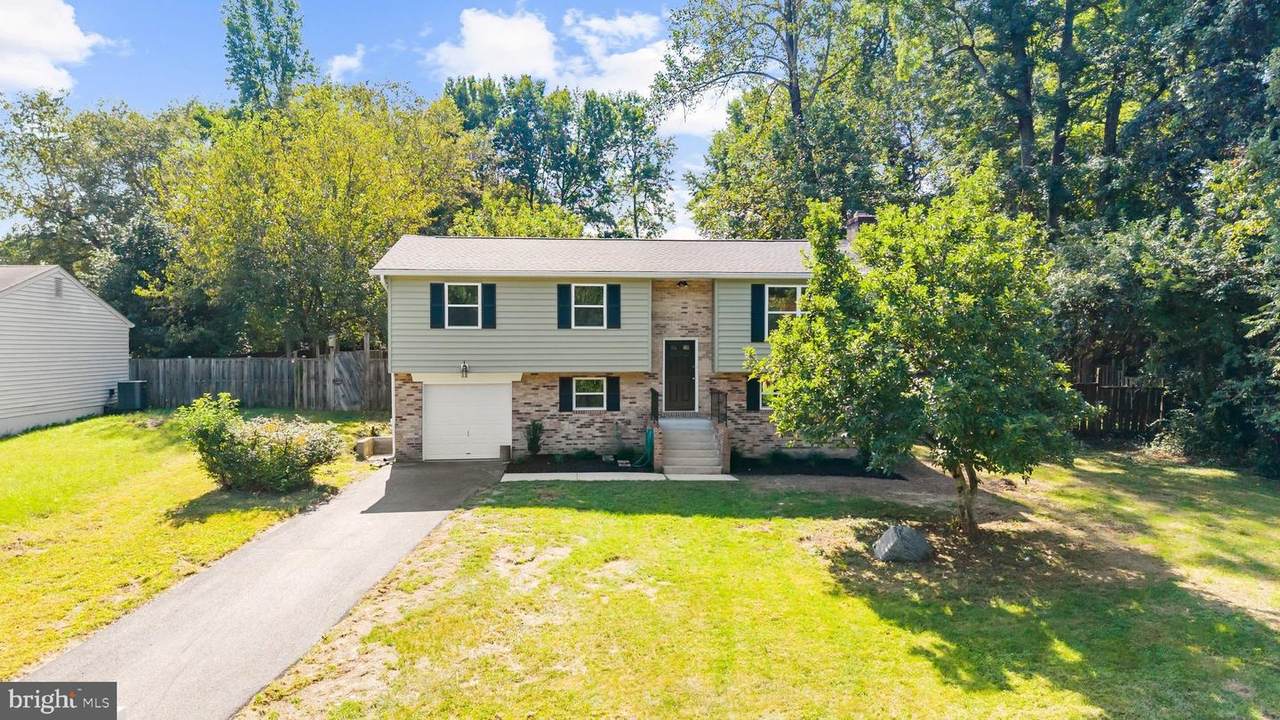 2118 Marbella Drive - Photo 1