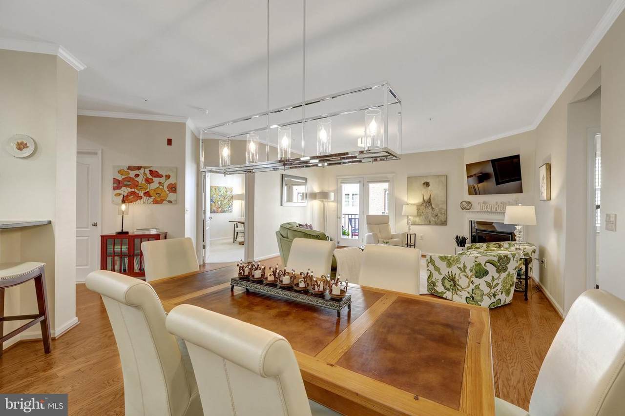 24637 Woolly Mammoth Terrace - Photo 1