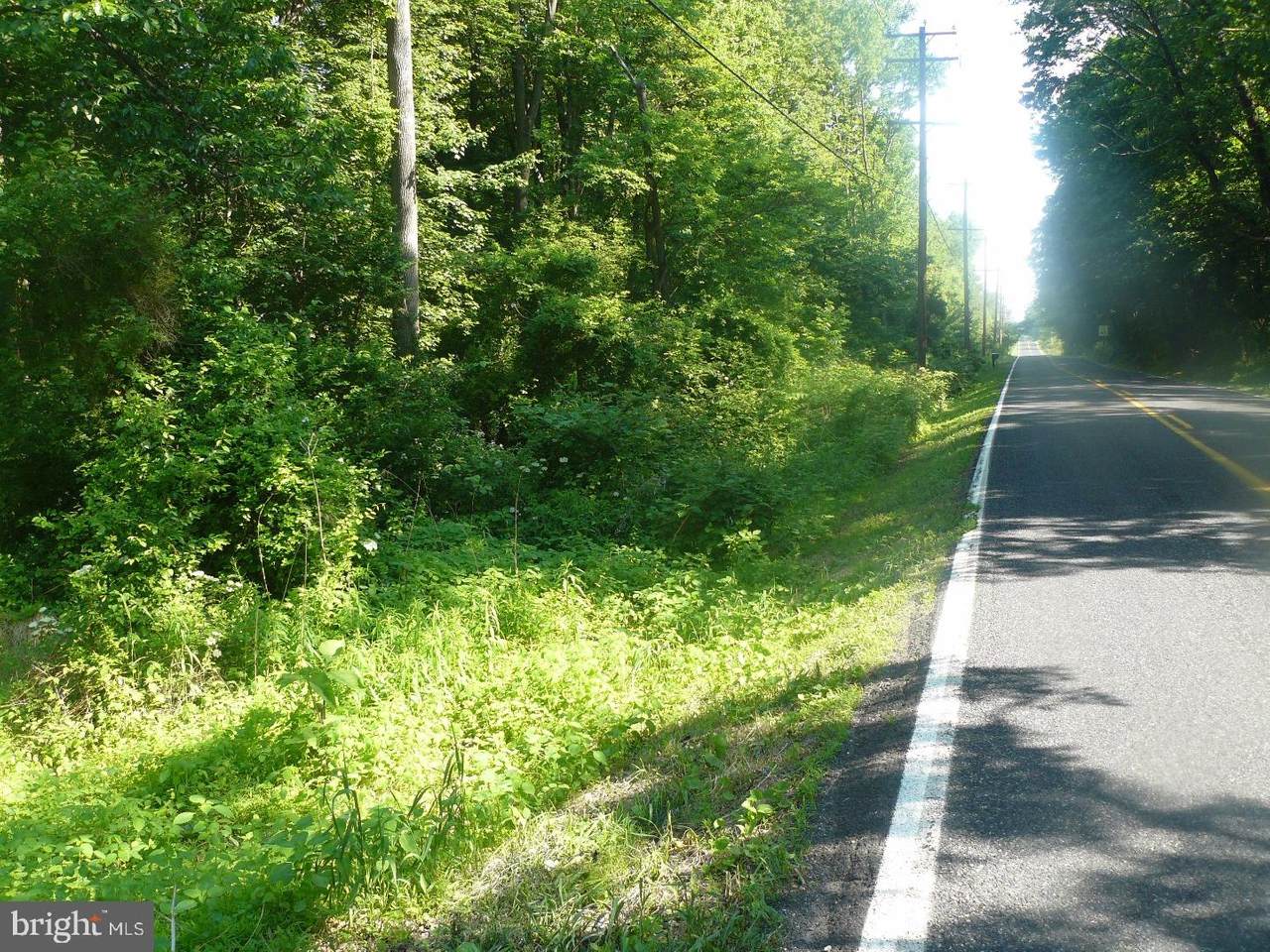 6001 Point Pleasant Pike - Photo 1