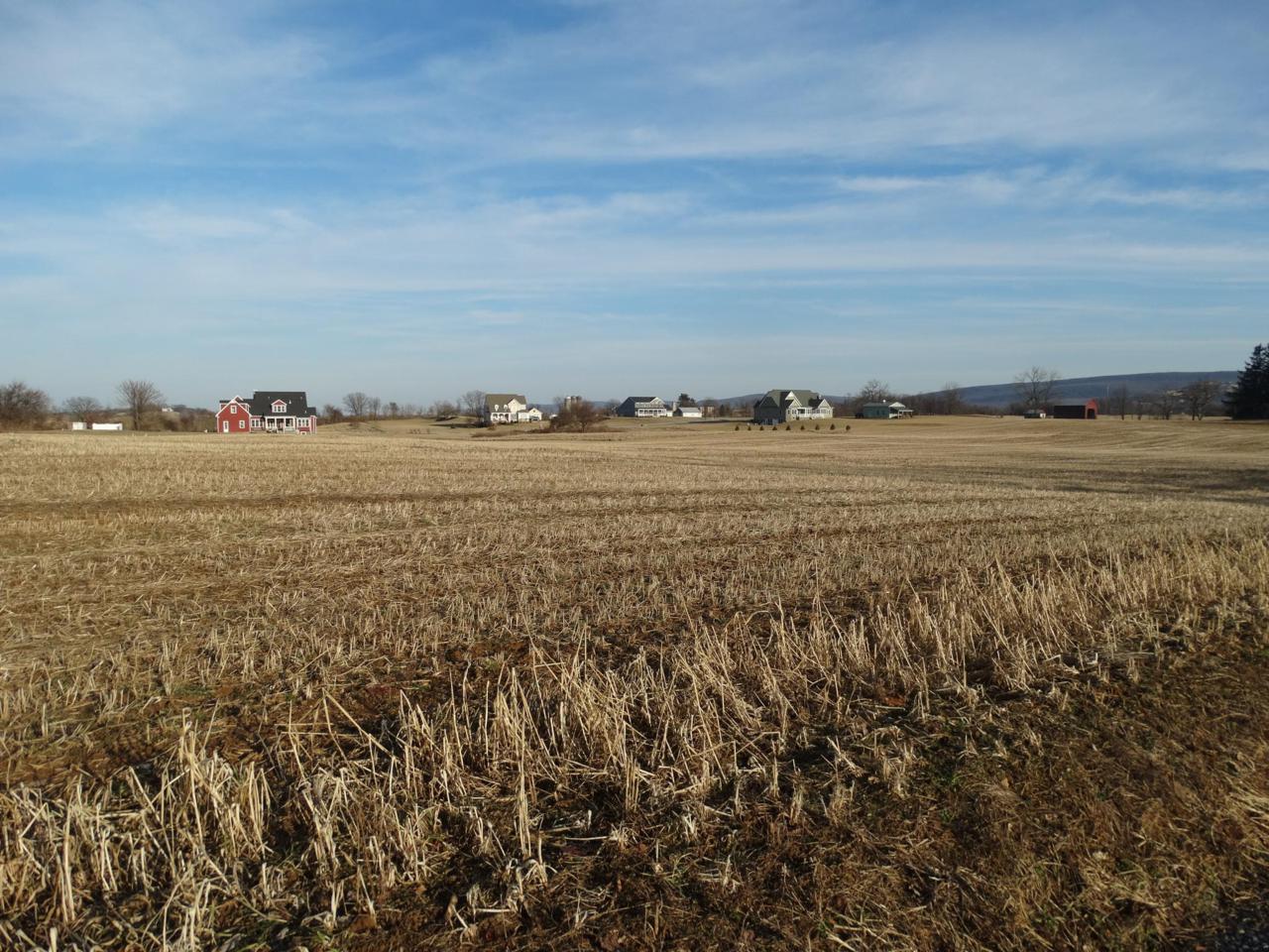 Lot 29 Dickinson School Road - Photo 1
