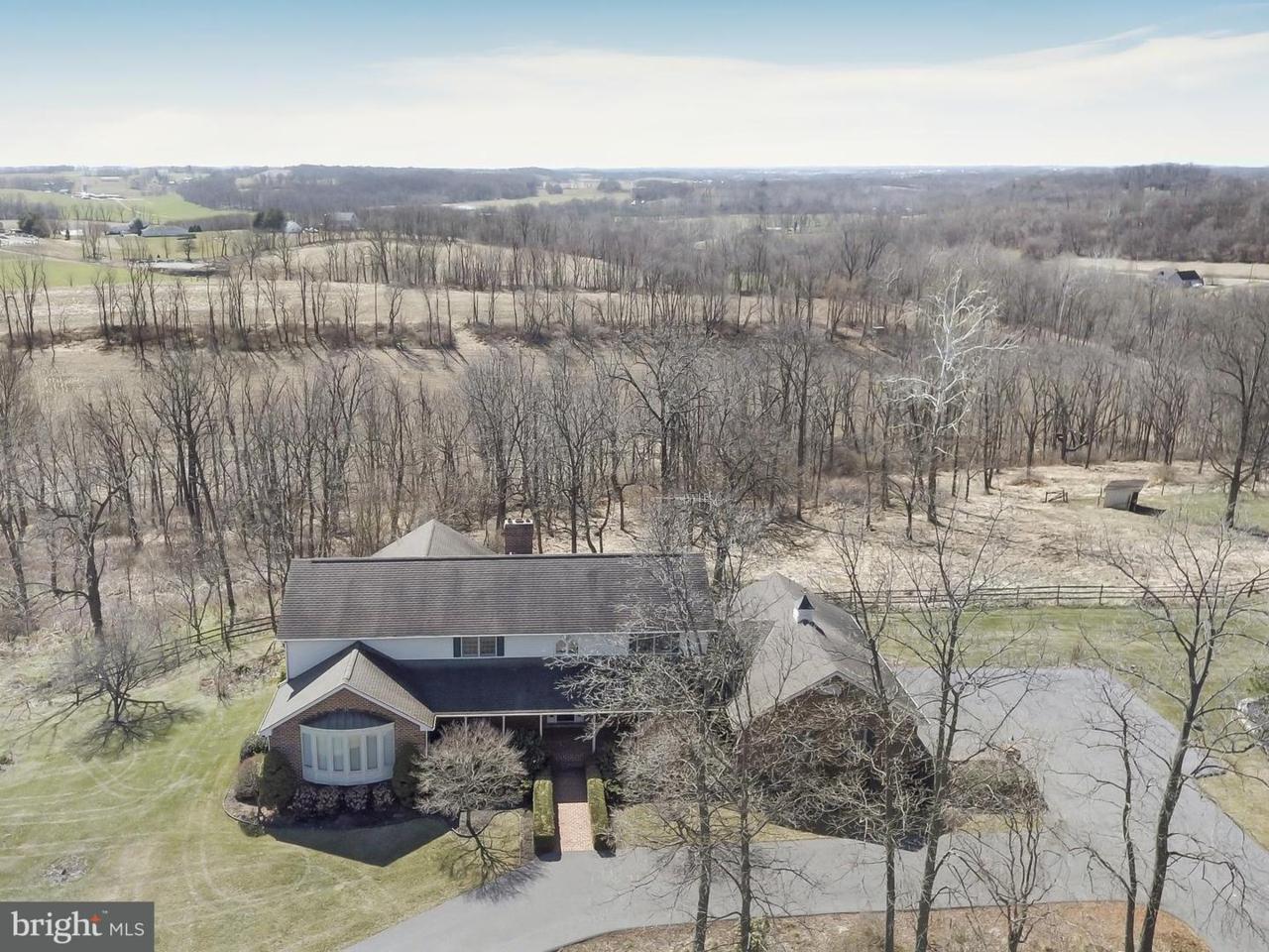 14177 Anthony Highway - Photo 1