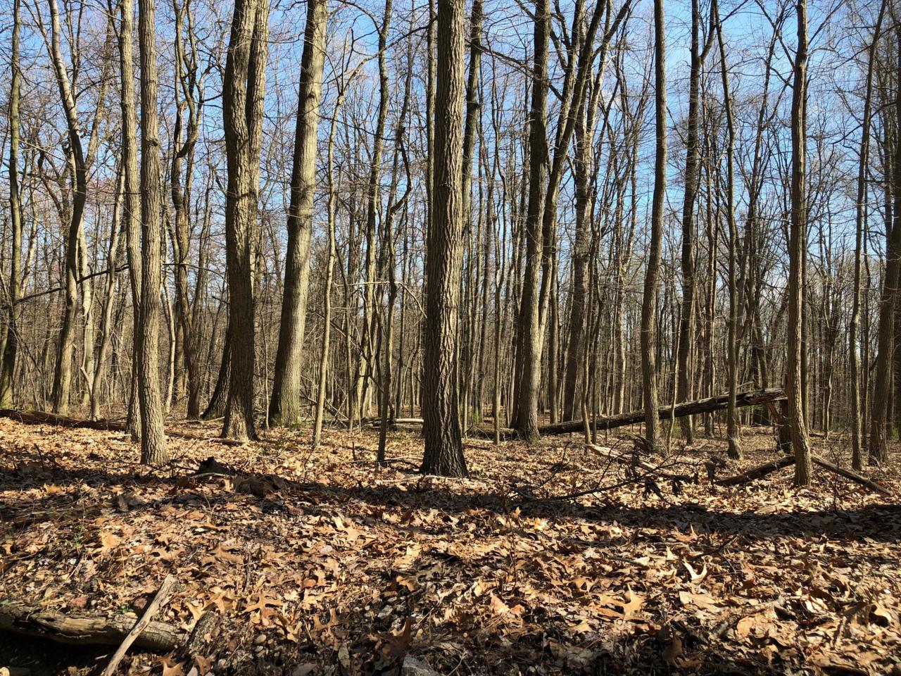 485 Old Mine Road - Photo 1