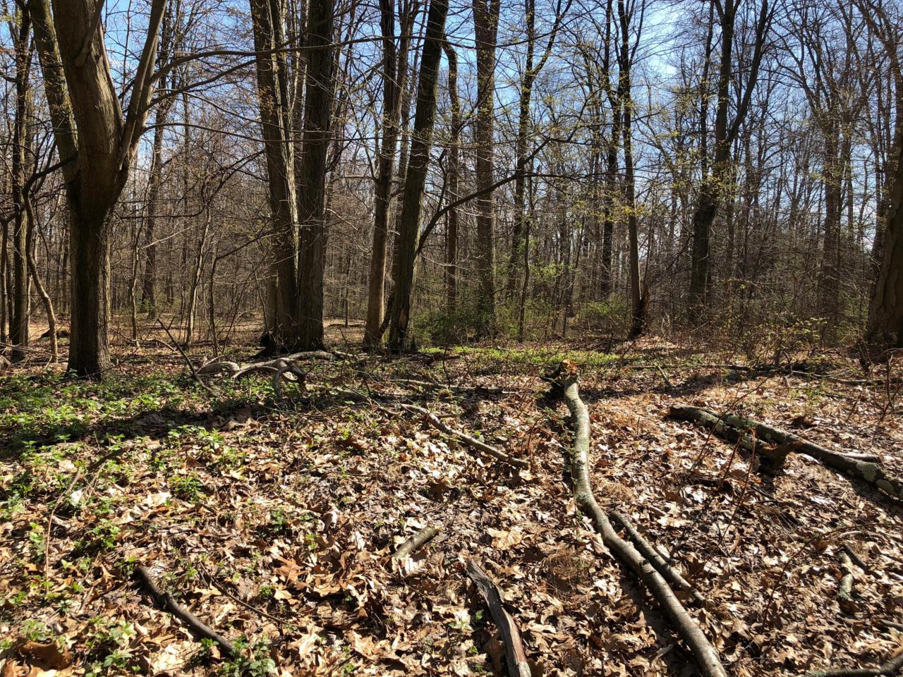 440 Old Mine Road - Photo 1