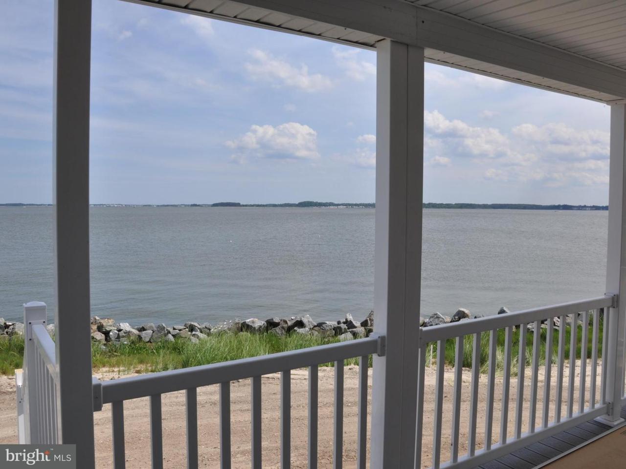 35704 River Drive - Photo 1