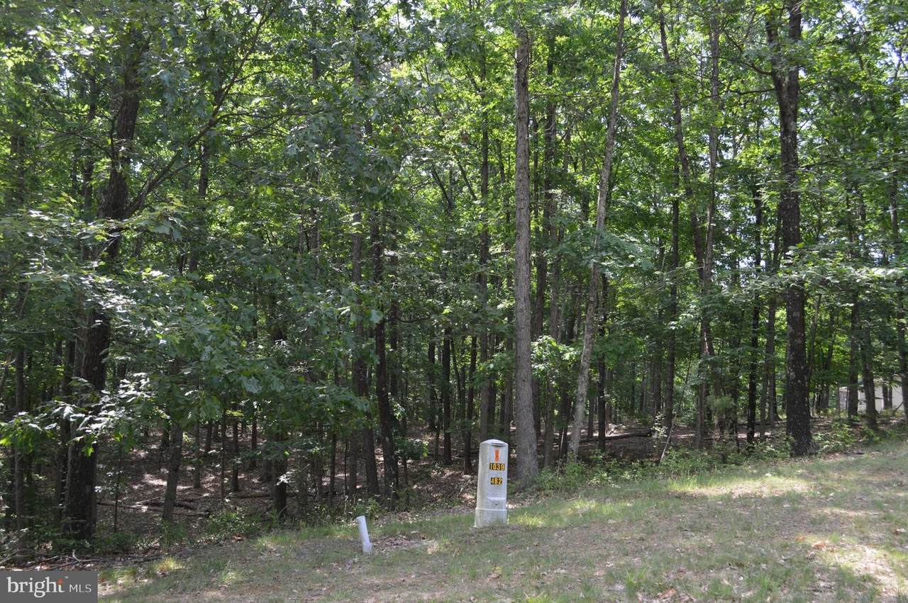 20 Bear Paw Drive - Photo 1