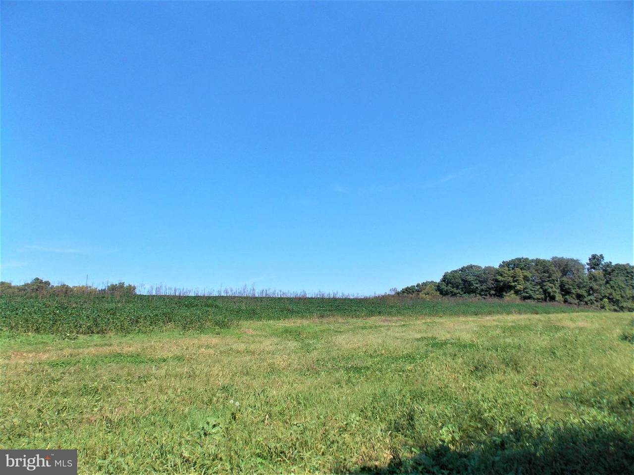 0 Dry Wells - Photo 1