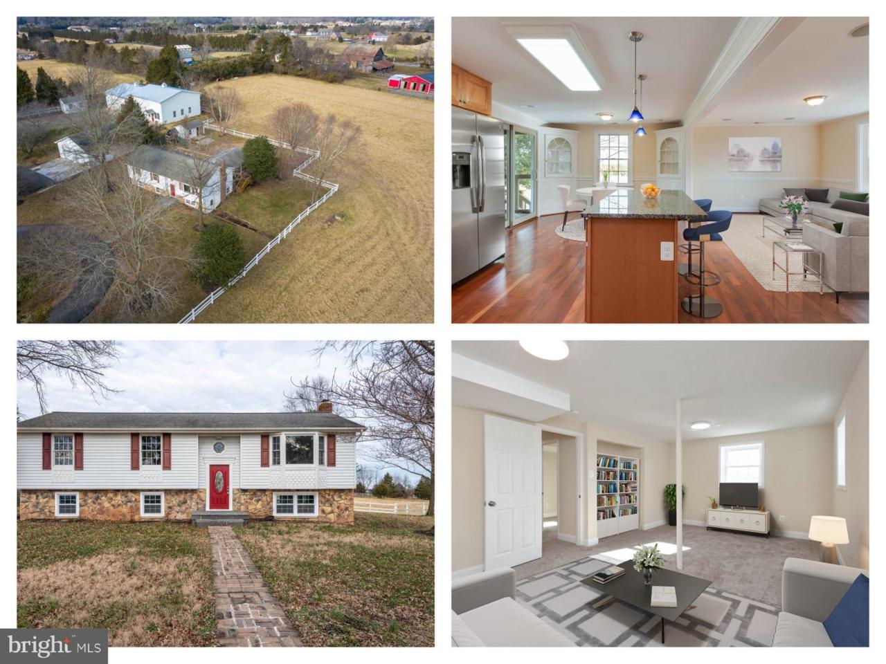 13471 Herring Lane - Photo 1