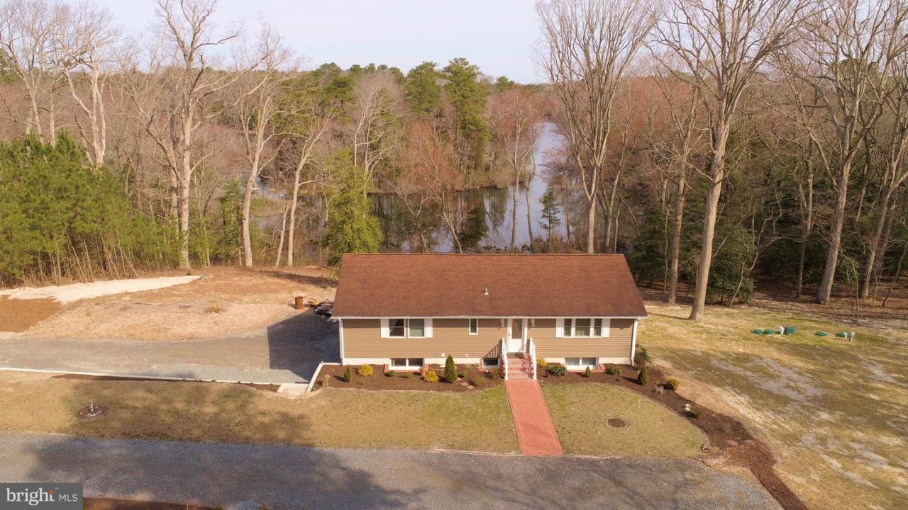 28544 Cynthia Marie Drive - Photo 1