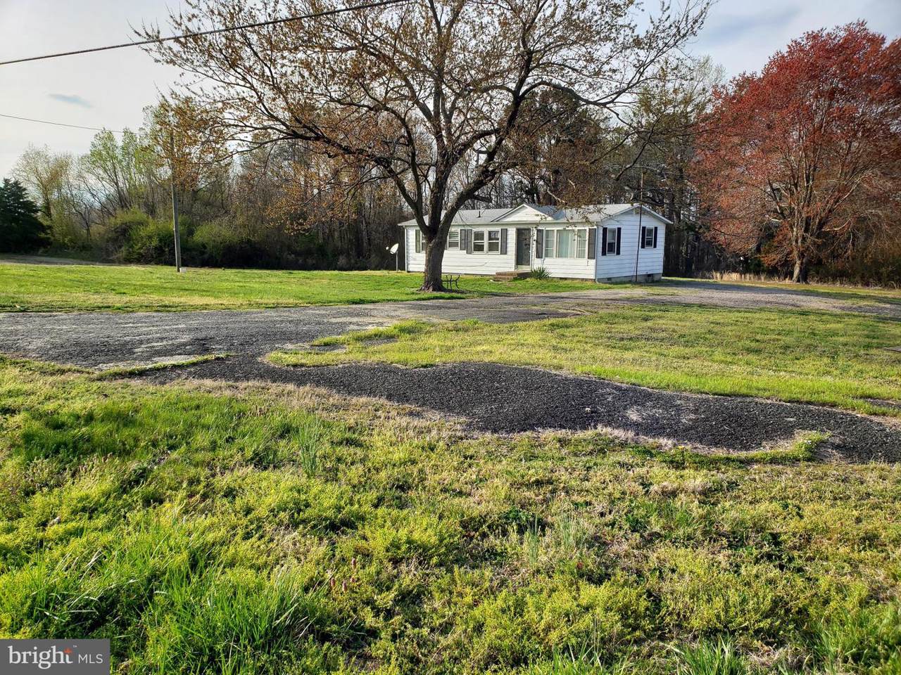 117 Bundick Road - Photo 1
