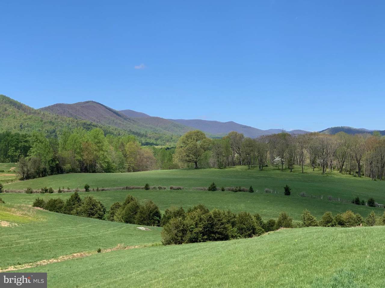 564 Wolftown Hood Road - Photo 1