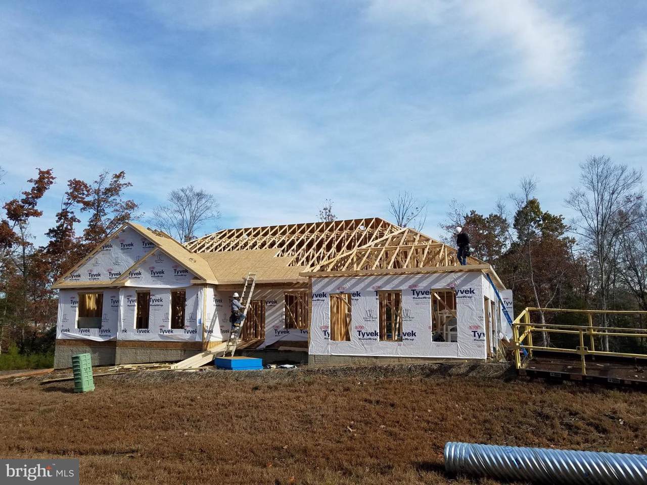 40297 Festoon Lane - Photo 1