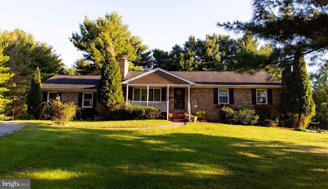 37831 Deerbrook Lane - Photo 1