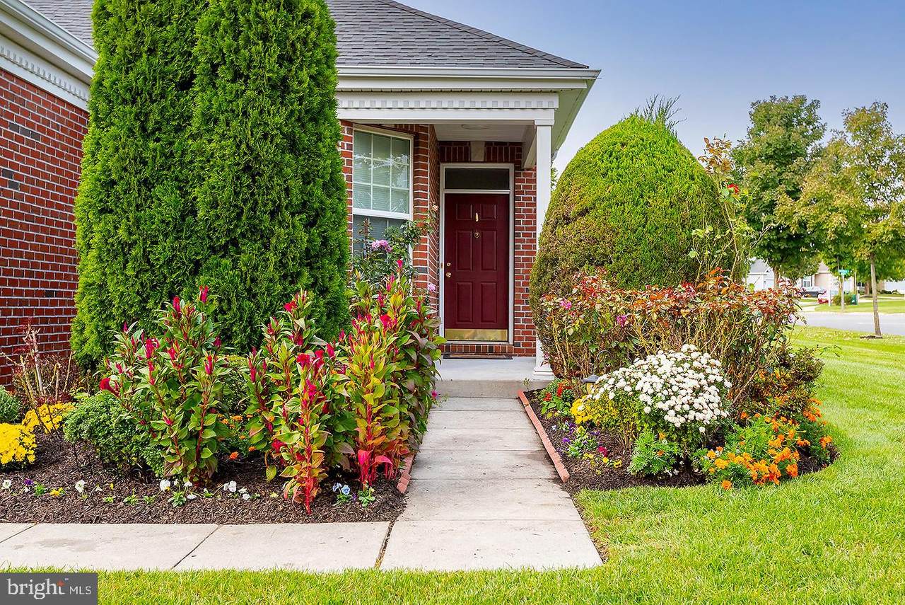15 Brighton Place - Photo 1