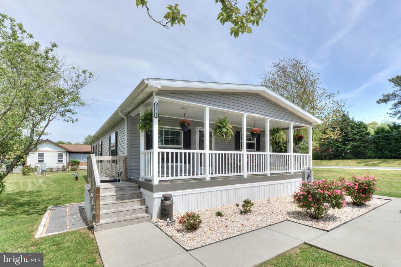 33533 Buttercup Street - Photo 1