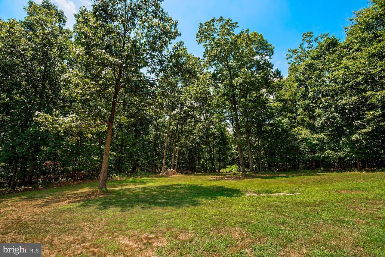 Back Woods Road - Photo 1