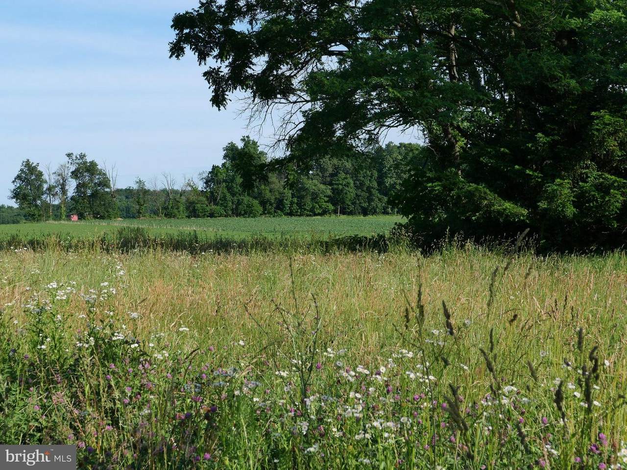 County Line Road - Photo 1