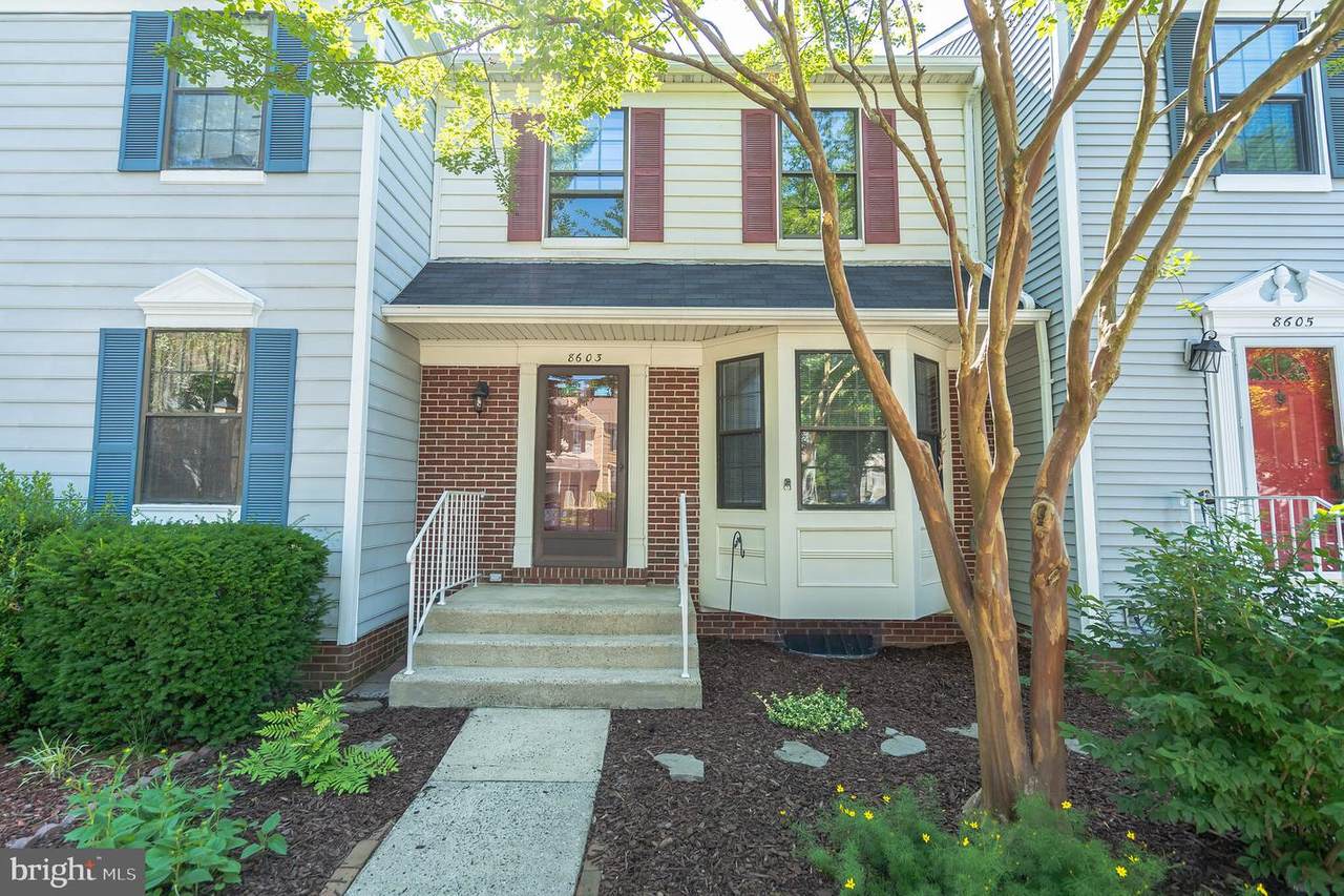 8603 Western Oak Drive - Photo 1