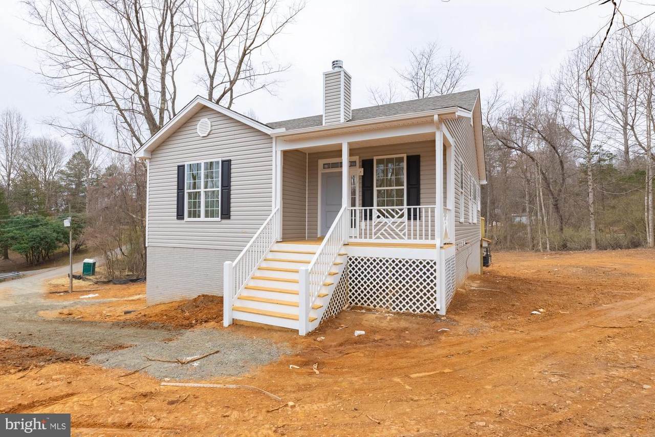 551 Daffofdil - Photo 1