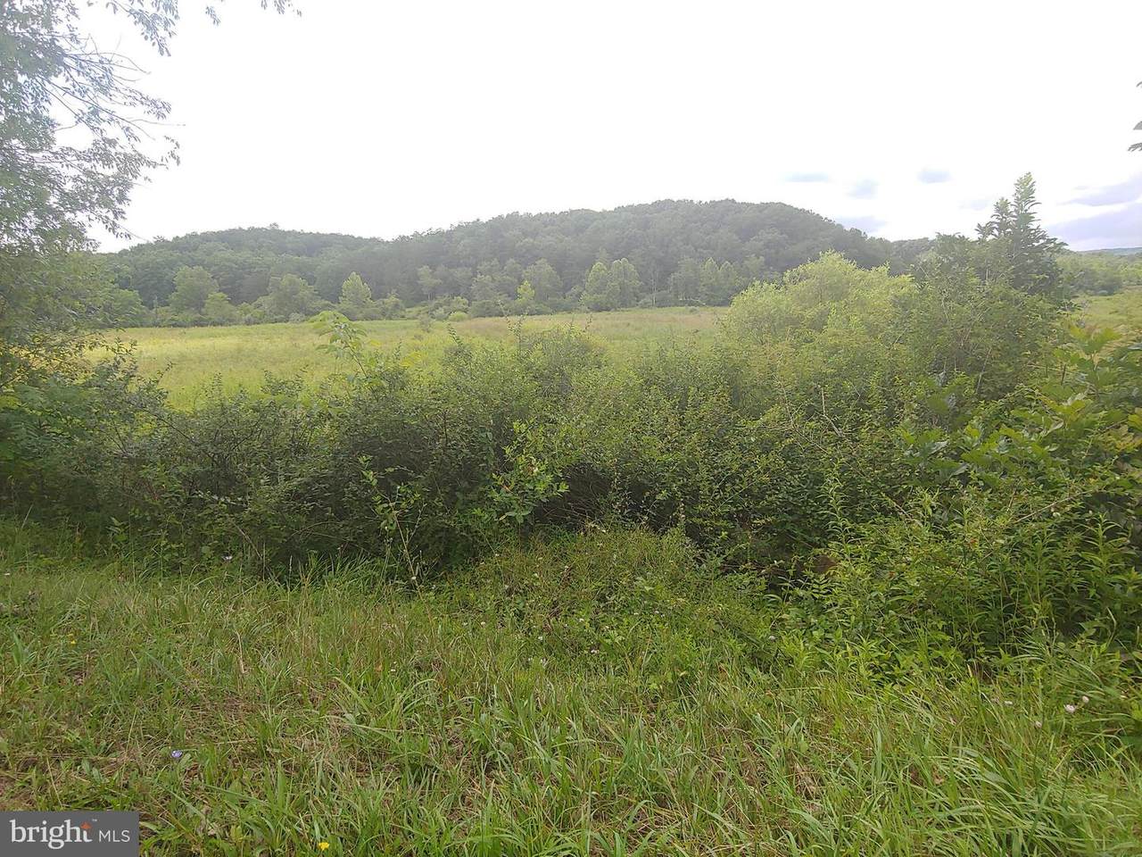 Bear Hill Road - Photo 1
