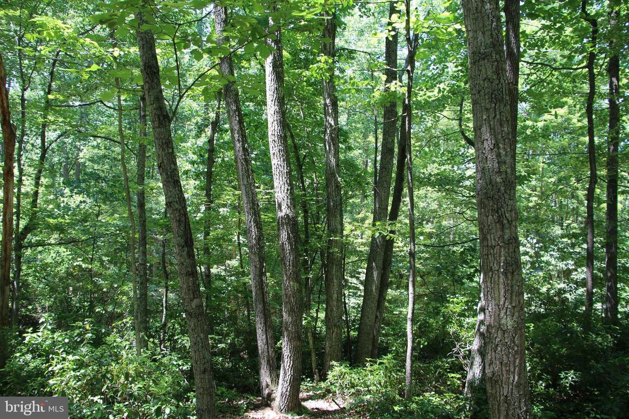 Woodman Trail - Photo 1