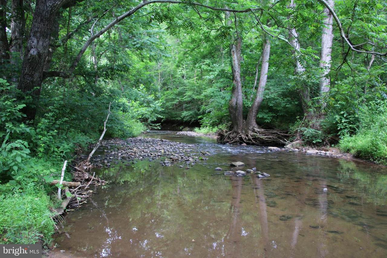 Dutch Creek Lane - Photo 1