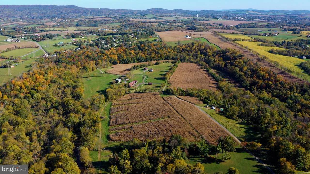 9010 Old Hagerstown Road - Photo 1