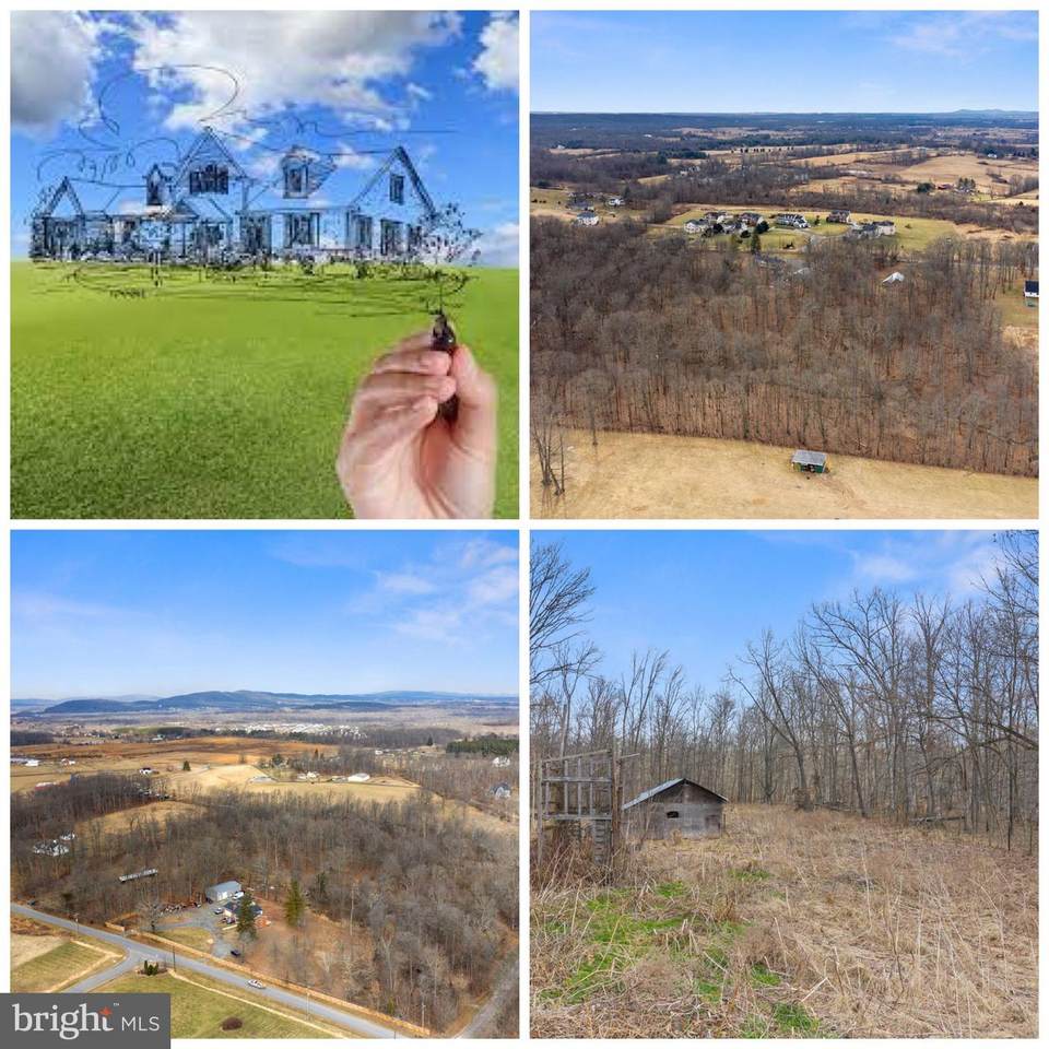 43182 Evans Pond Road - Photo 1