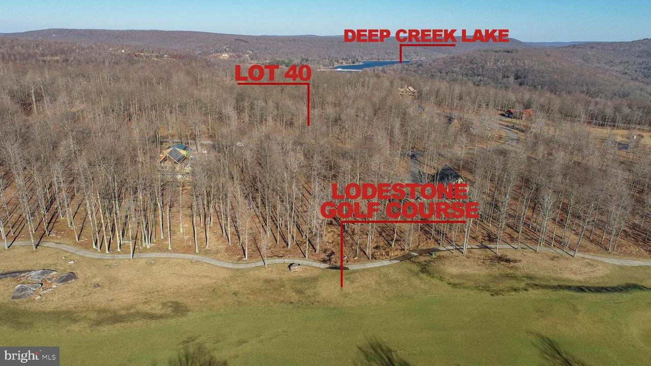 40 Fern Loop - Photo 1