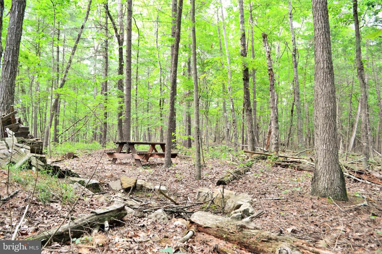 Off Crooked Run - Photo 1