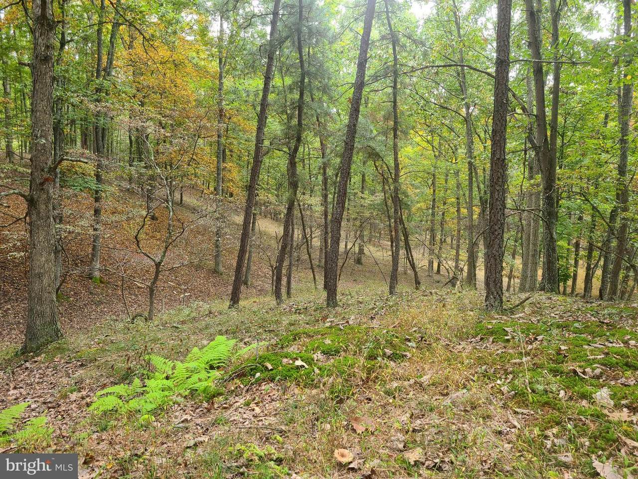 LOT 82 Trough View Road - Photo 1