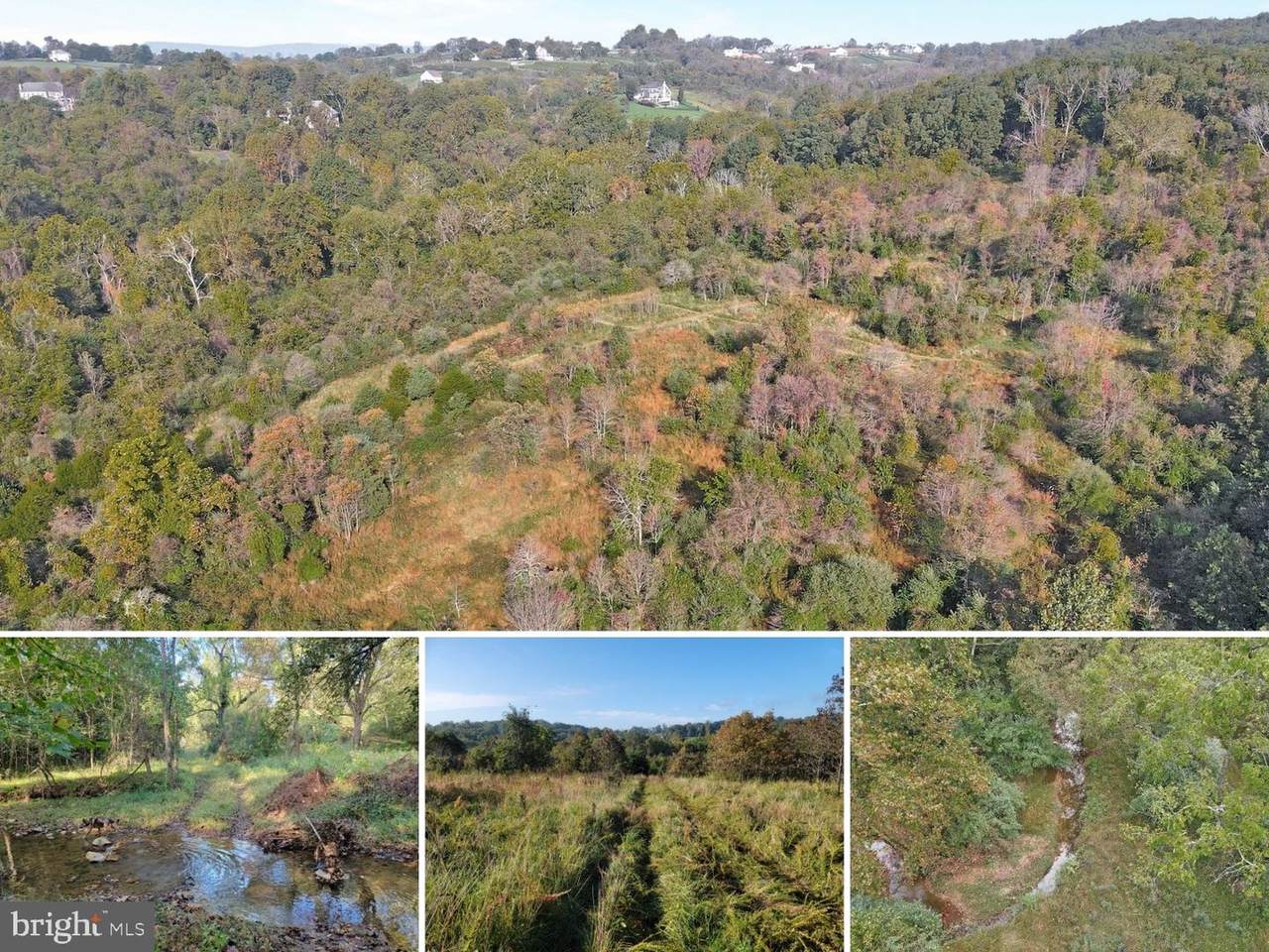 LOT 52 Trotter Lane - Photo 1