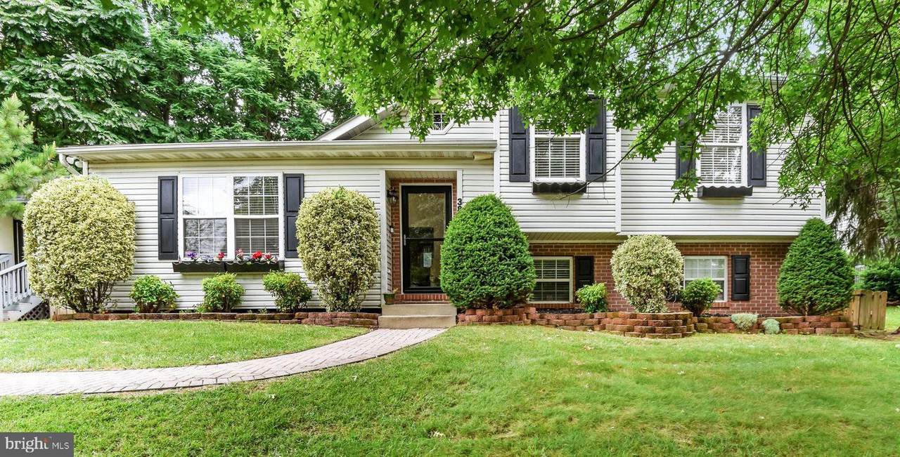 385 Buck Cash Drive - Photo 1