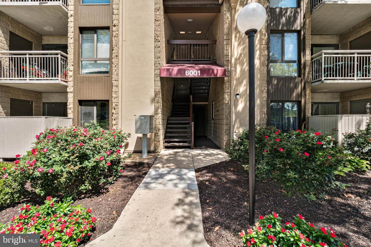 6001 Majors Lane - Photo 1