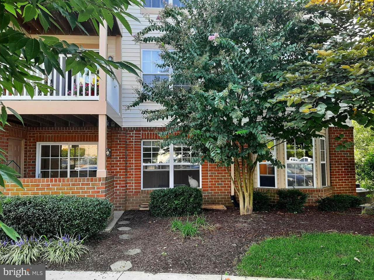 6501 Springwater Court - Photo 1