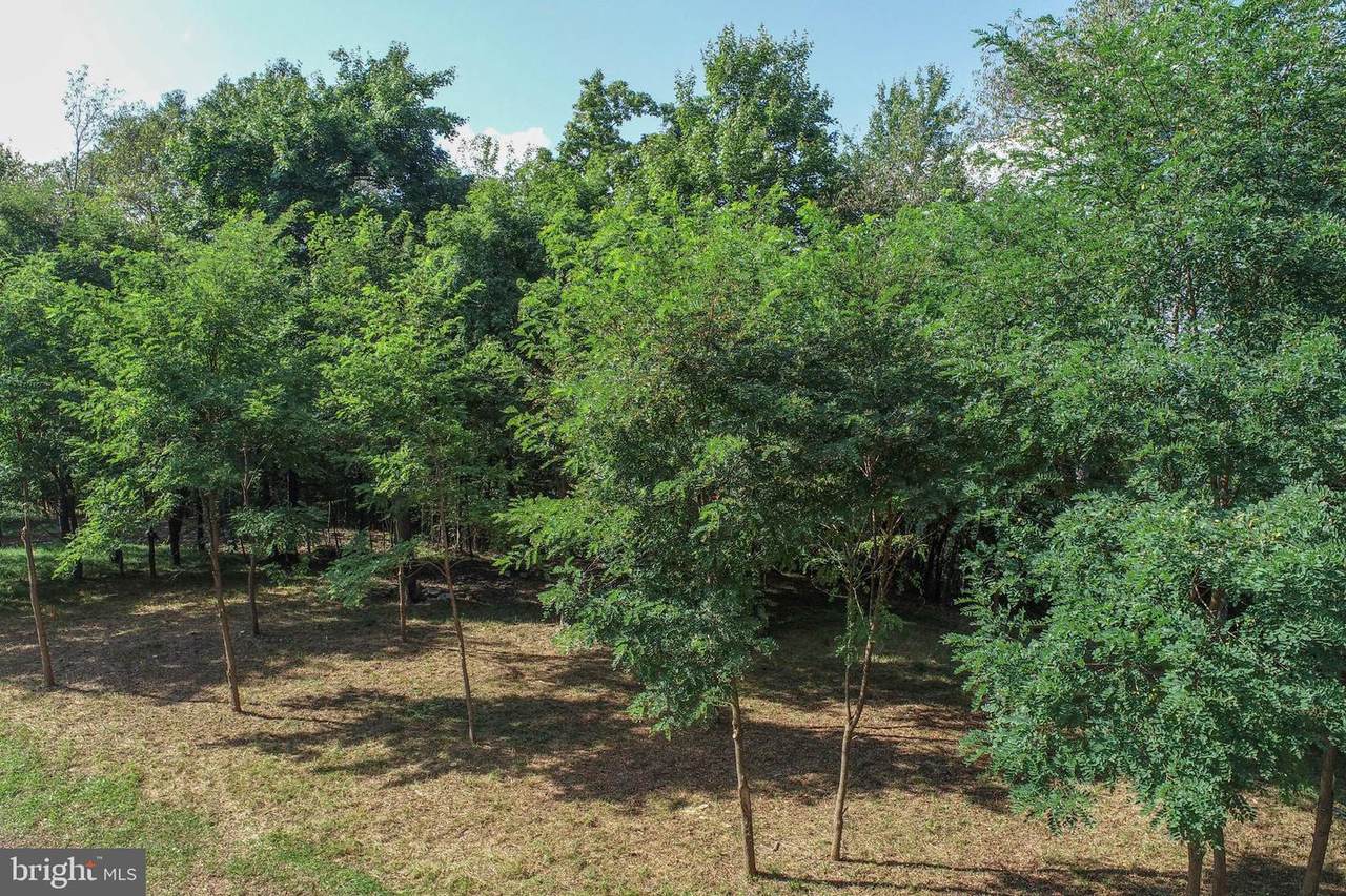 93 Lower Camp Road - Photo 1