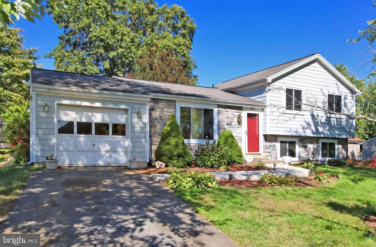 4426 Cub Run Road - Photo 1