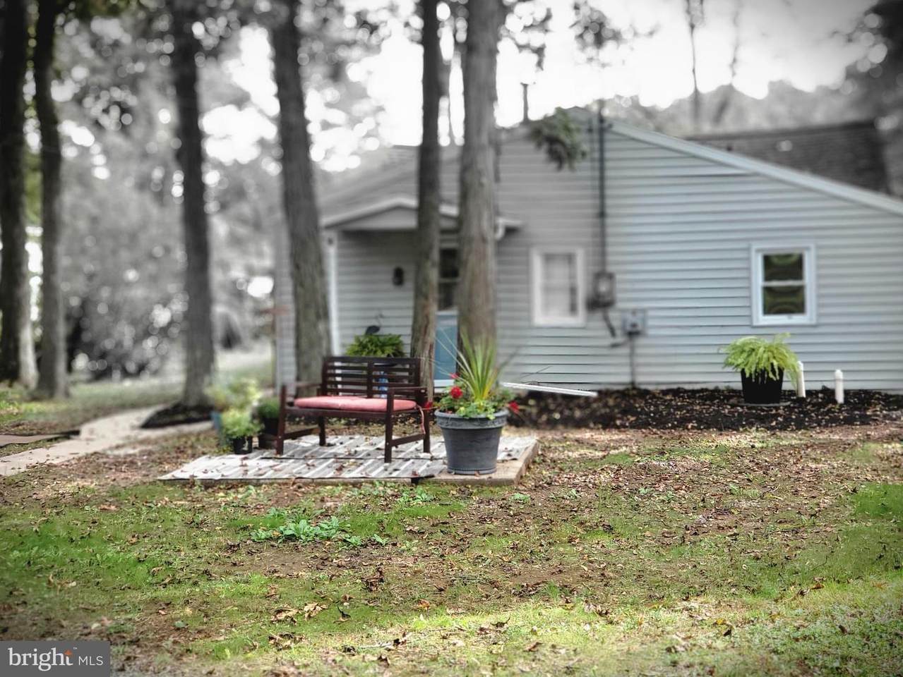 850-A Cardinal Lane - Photo 1