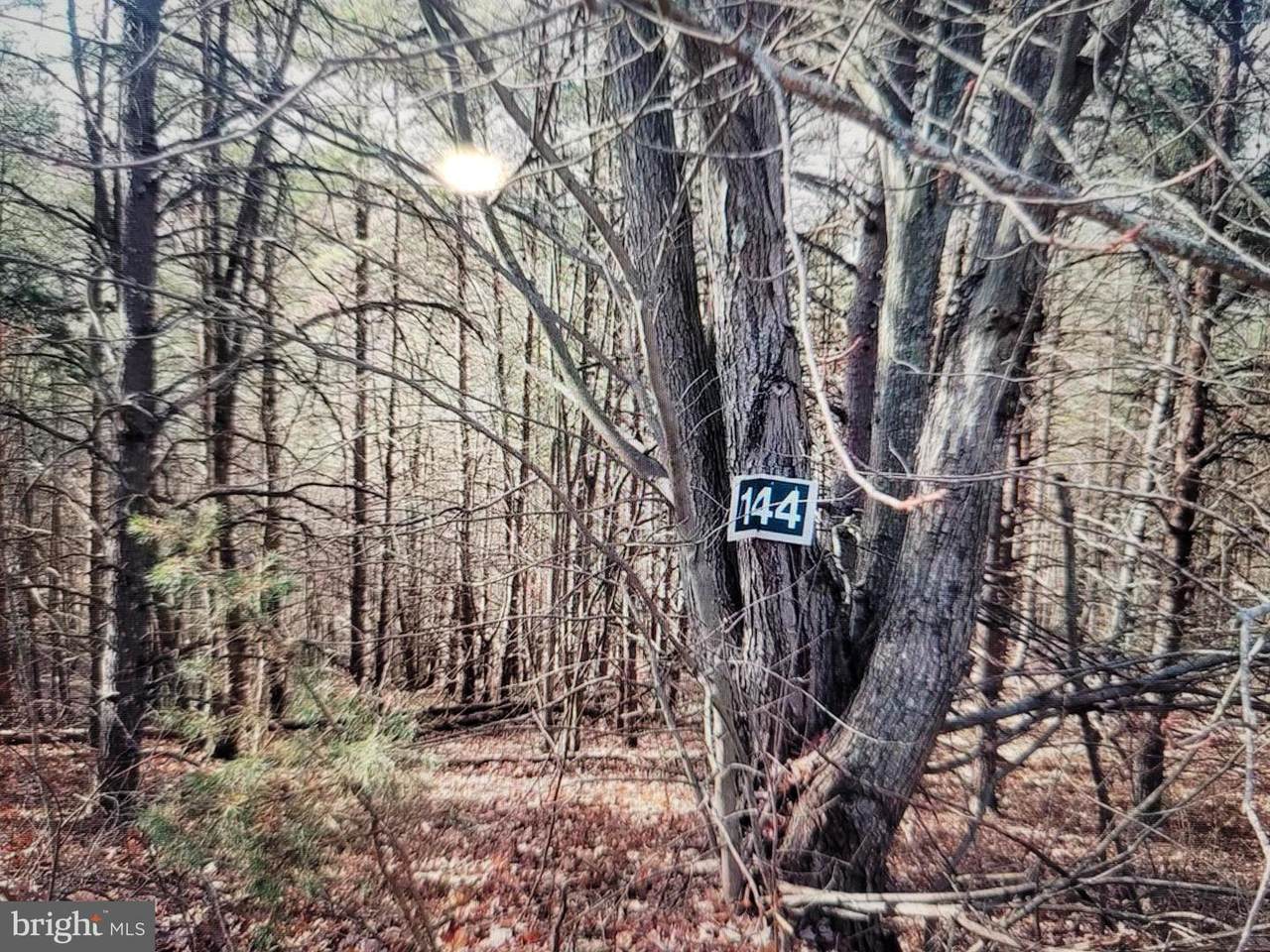 Lot 144 Trough View - Photo 1