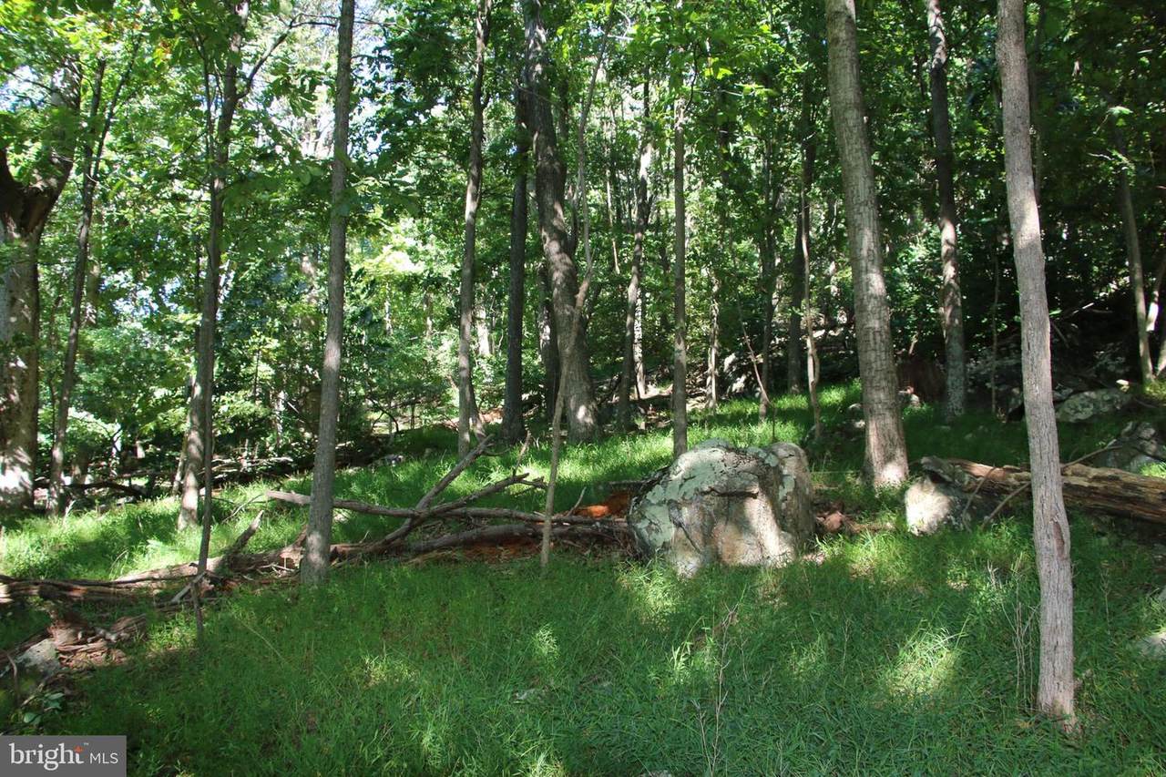 Shenandoah Valley Drive - Photo 1